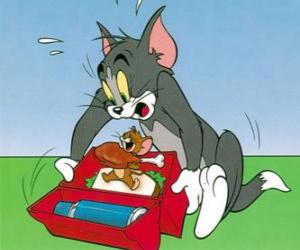 Puzzle Jerry τρώει Tom πικ-νικ